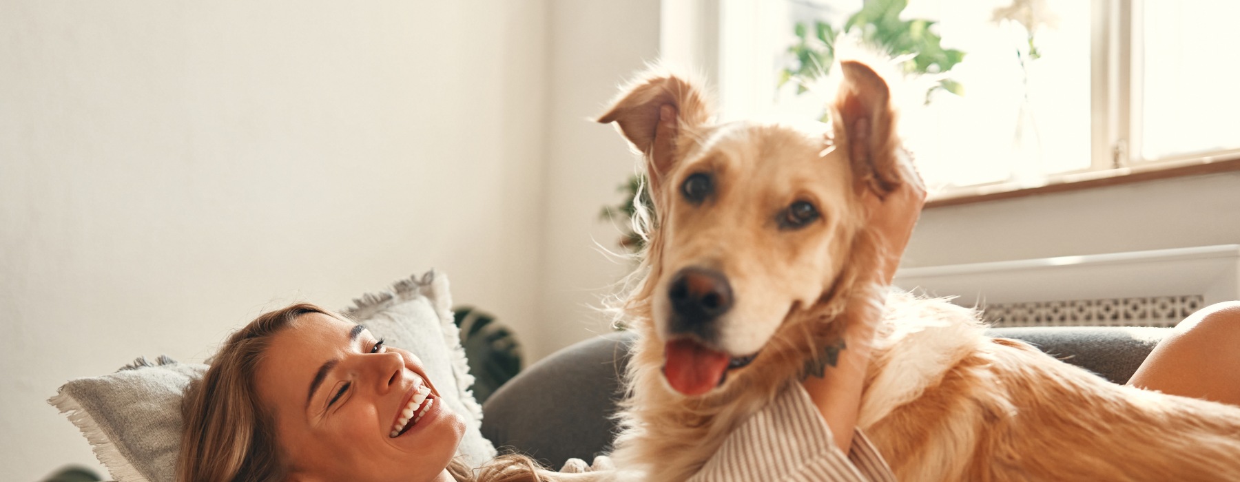 Pet Friendly